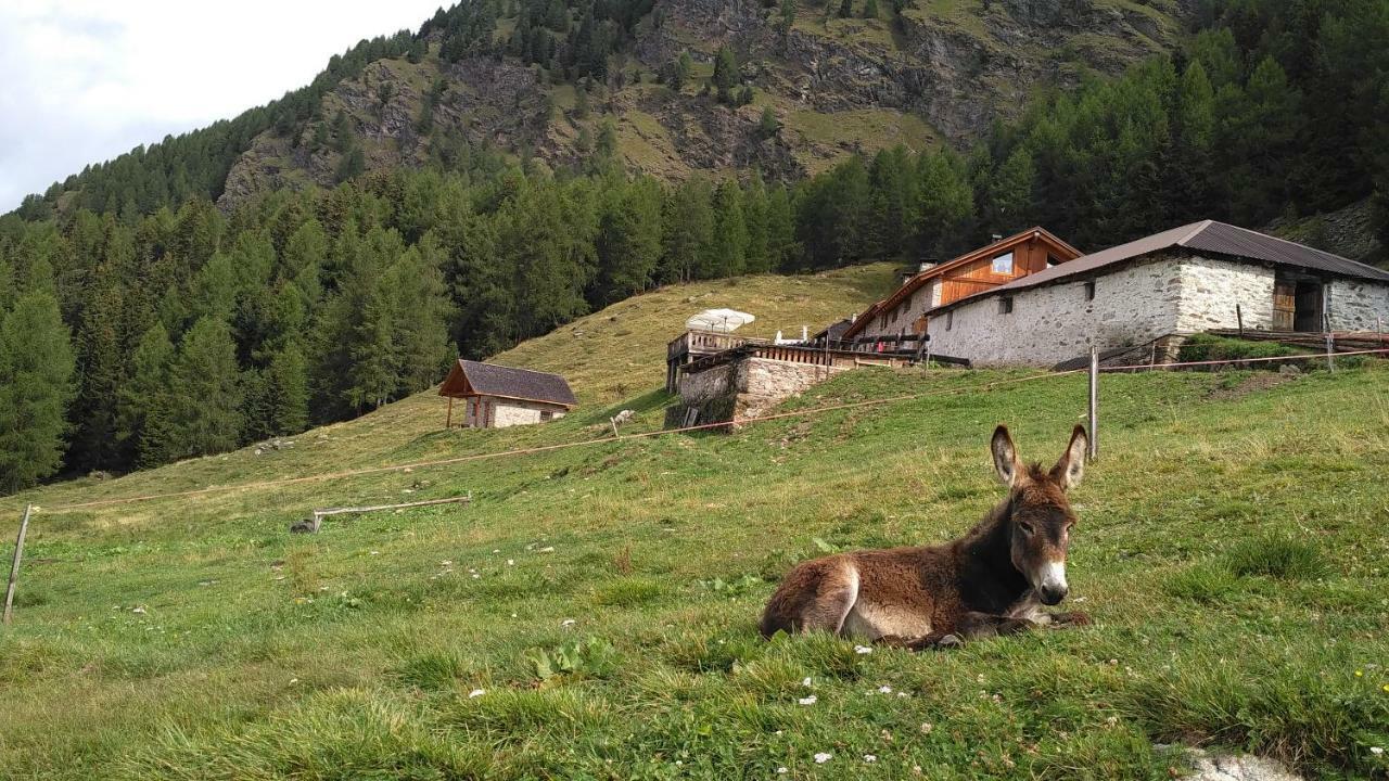 Willa Nestalp Malga Campo Peio Zewnętrze zdjęcie