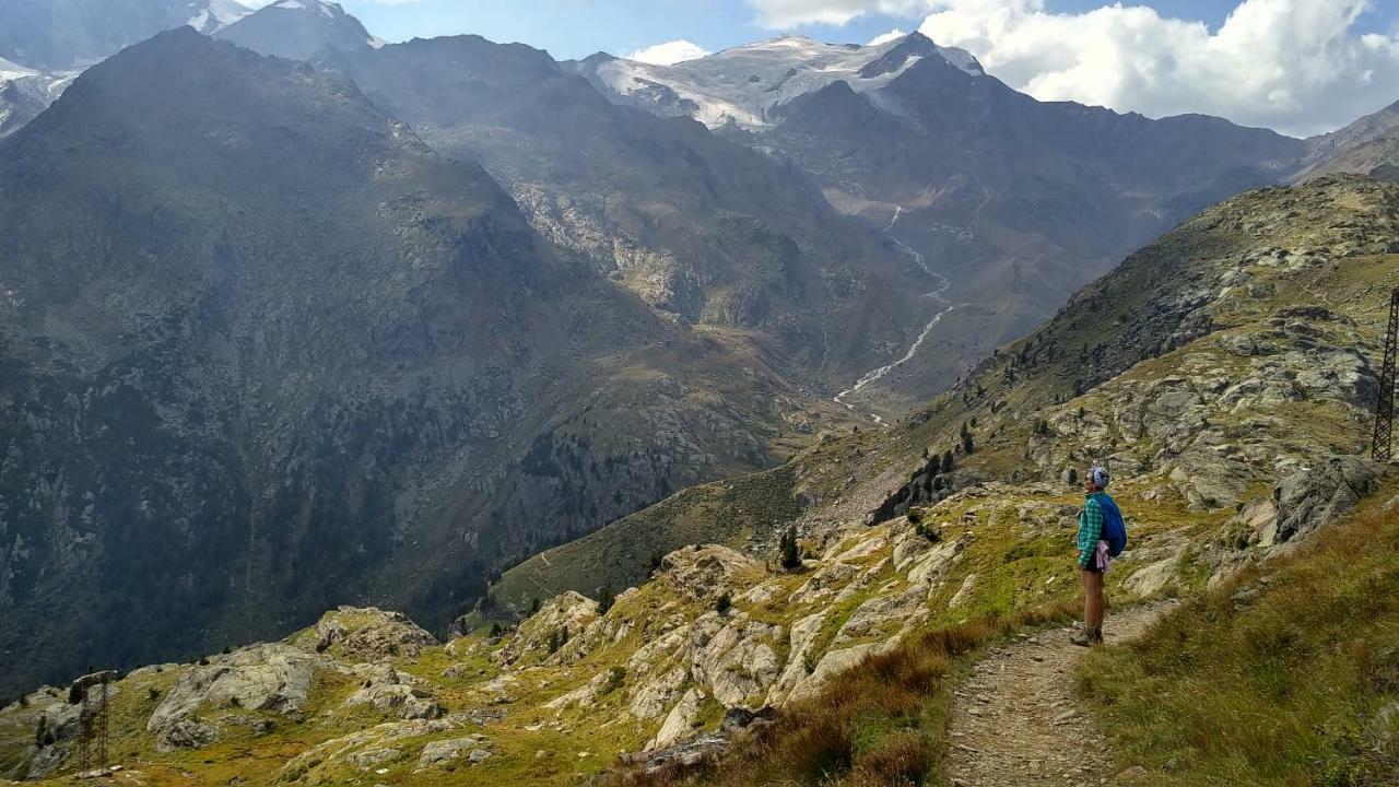 Willa Nestalp Malga Campo Peio Zewnętrze zdjęcie