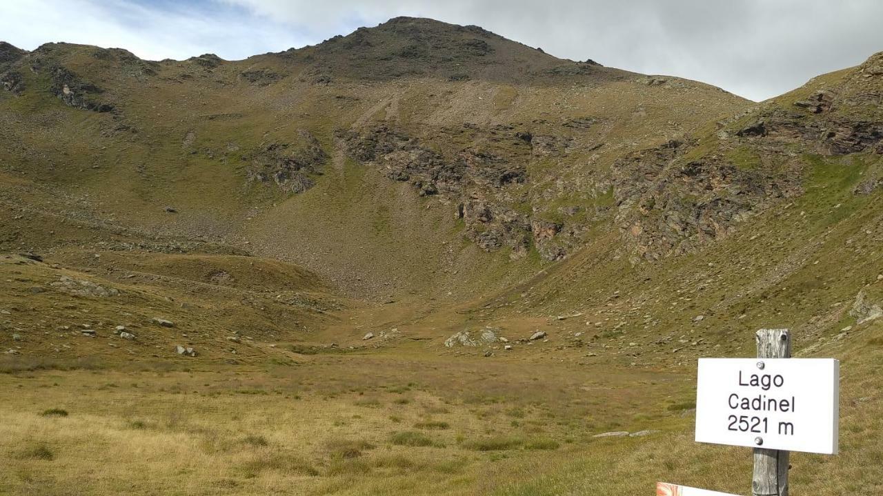 Willa Nestalp Malga Campo Peio Zewnętrze zdjęcie